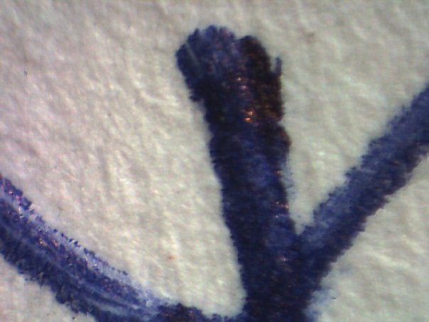 תמונה עבור בדיקה תחת מיקרוסקופ